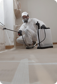 Mold Remediation restoration