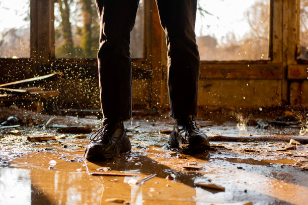 Professional storm damage restoration work