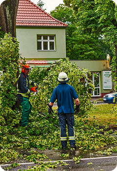 Storm Damage restoration